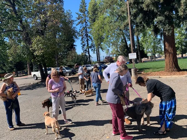 Blessing of the Animals